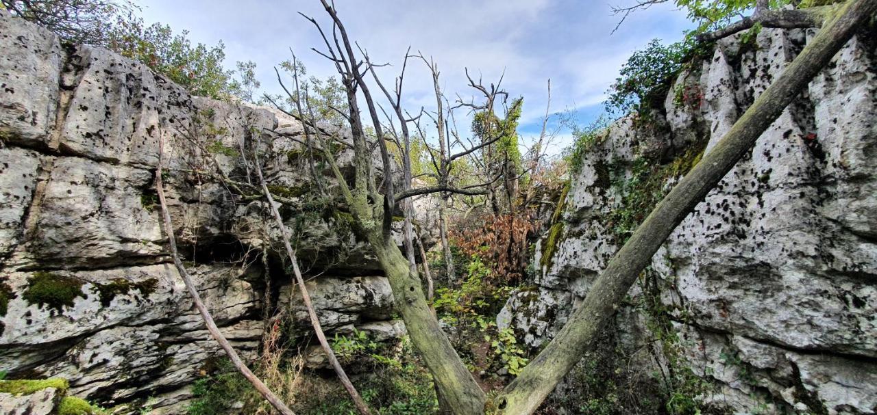 La Grange - Chez Gisi - Fuer Naturliebhaber, Abenteurer Und Geniesser Rocles  Exterior photo